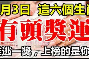 1月3日，這六個生肖難逃一獎，最有頭獎運，上榜的是你嗎？