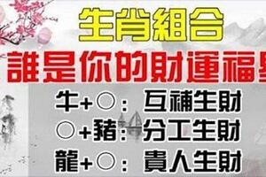 12生肖的「黃金搭檔」：誰是你的旺財生肖？