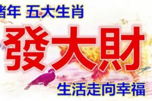 豬年發大財，事業順暢，生活走向幸福的五大生肖