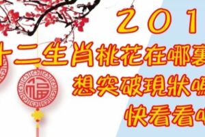 ２０１９十二生肖桃花在哪裡？想突破現狀嗎？快看看吧！