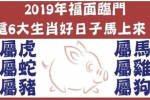 2019年福面臨門，這6大生肖好日子馬上來