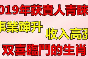 2019年獲貴人青睞，事業躥升，收入高漲，雙喜臨門的生肖