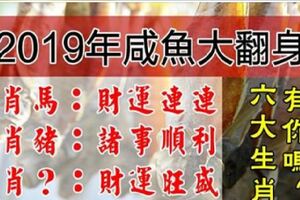 2019年6大生肖鹹魚大翻身，豬年最「旺」，有你嗎？