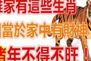 誰家有這些生肖，相當於家中有財神，2019豬年不得不旺！