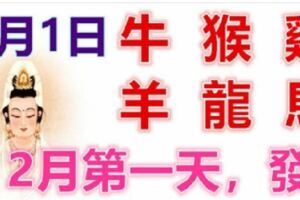 2月1日生肖運勢_牛、猴、雞大吉