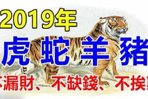 2019年正值黃金年齡的生肖，不漏財、不缺錢、不挨窮