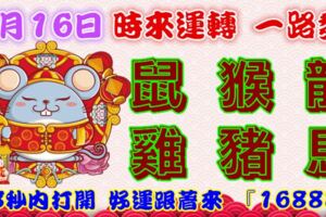 2月16日時來運轉一路發，鼠猴龍雞豬馬，88秒內打開，好運跟著來『16888』