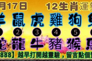 2019年2月17日，星期日農歷正月十三（己亥年丙寅月乙酉日）