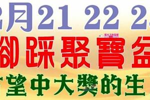 2月21，22，23號開始，七大生肖腳踩聚寶盆，有望大獎中不停