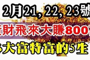 2月21,22,23號運勢逆天，橫財飛來，大富特富的生肖