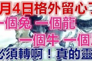 3月4日：一個兔，一個龍，一個牛，一個馬。