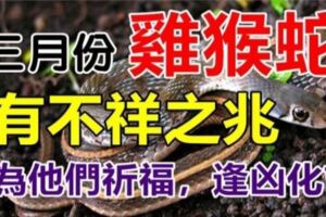 三月份屬雞猴蛇要小心，有不祥之兆請為他們祈福，逢凶化吉！