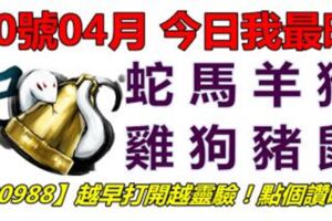 20號04月，今日我最旺！蛇馬羊猴雞狗豬鼠！【20988】越早打開越靈驗！點個讚吧！