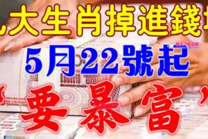 5月22號開始，九大生肖掉進錢堆，要暴富