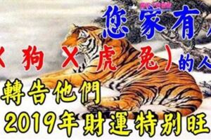 誰家有這五大生肖的人，2019年財運特別旺盛，快出來接財吧【錢花都花不完】