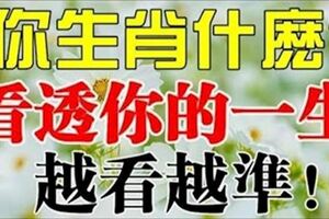 你生肖屬什麼？看透你的一生~越看越凖（男女都看看）