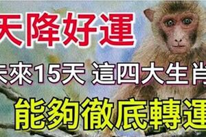 天降好運！在未來15天，這四大生肖能夠徹底轉運！