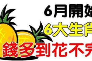 6月開始，6大生肖財運亨通