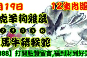 2019年6月19日，星期三，農歷五月十七（己亥年庚午月丁亥日）