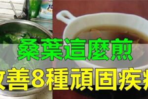 桑葉用水煎後食用，能很好地改善你身體上的8種頑固疾病為家人值得看看