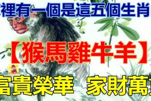 家裡有一個是這五個生肖的，真是不得了，一家子跟著沾喜，榮華富貴