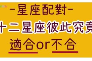 十二星座「最適合」v.s「最不合」的星座大公開！情緒化巨蟹座v.s講道理摩羯座？對的人？錯的人？