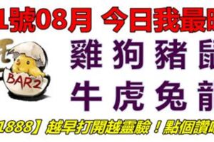 11號08月，今日我最旺！雞狗豬鼠牛虎兔龍！【11888】越早打開越靈驗！點個讚吧！