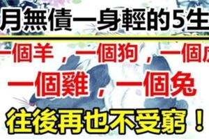 9月，無債一身輕，往後買房又買車，這輩子不會在受窮的5生肖