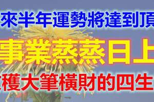 未來半年運勢將達到頂峰，事業蒸蒸日上，收穫大筆橫財的四生肖