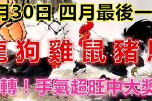 4月30日，四月最後一天，屬龍、狗、雞、鼠、豬、馬必轉