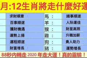 下半年12生肖將走什麼好運？88秒內轉走下半年走大運！真的靈驗！