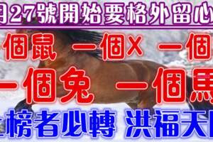 5月27號開始要格外留心了，一個鼠，一個X，一個羊，一個兔，一個馬必須轉啊