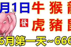 6月1日生肖運勢_牛、猴、龍大吉