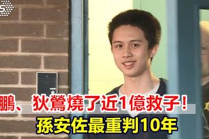 孫鵬、狄鶯燒了近1億救子！孫安佐最重判10年