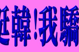 我挺韓！我驕傲！