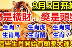 9月5日開始有頭獎大運的生肖，財是橫財，獎是頭獎