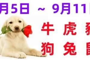 12生肖一周運程（9.5~9.11）