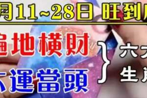 2月11~28號大運當頭，旺到月底遍地橫財的生肖。