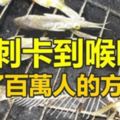 分享！魚刺卡到喉嚨救了百萬人的方法！