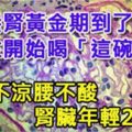 養腎黃金期到了！現在開始喝「這碗湯」，手腳不涼腰不酸，腎臟年輕20歲！