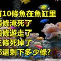 據說有99.9%的人都回答不出這道題目...你敢嘗試嗎?