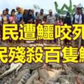 農民遭鱷咬死村民殘殺百隻鱷魚