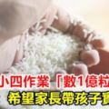 傻眼！小四作業「數1億粒米」校：希望家長帶孩子實做