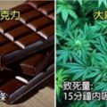 14種常見物質的「早一步上天堂份量」，狂灌咖啡不小心死.神就會找上門！