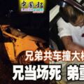 兄弟共車撞大樹兄當場死弟重傷