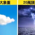 20個看過後「一生都不會忘」的奇妙冷知識　用拳頭記大小月這招超好用啊～