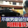 悲！不察男童站在車前！母親撞死3歲兒！！