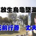 放生烏龜墜湖斃命　妻子死前行善　丈夫感驕傲