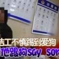 清潔工不慎踢到愛狗飼主要他跟狗saysorry！