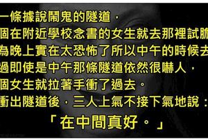 4個只要多想兩秒，雞皮疙瘩就會爬到頭頂的內涵恐怖故事